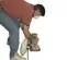 Silver ESSEX Edge Floor Sander, 5-7 in.