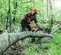 Gray and orange STIHL Chainsaw, 18 in., Gas Powered