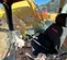 2019 Kobelco SK300LC-10 Excavator