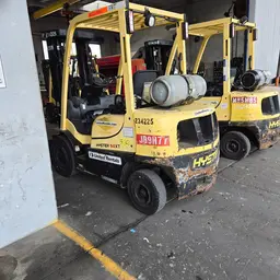 2019 HYSTER H50XT Warehouse Forklift